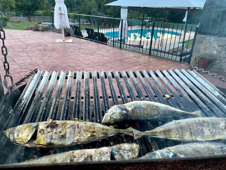 Alojamiento Entero Con Piscina Y Jardin. Orense Kültér fotó